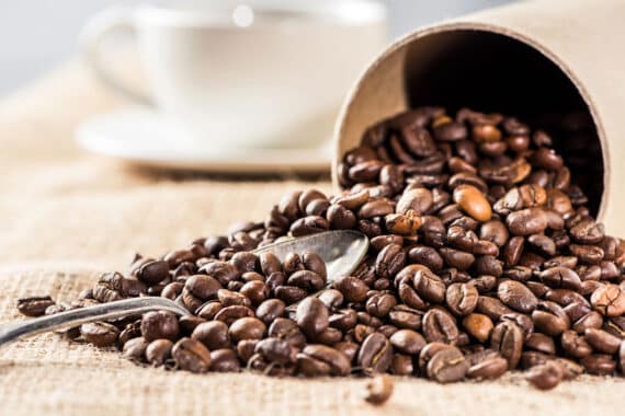 Kaffeekultur