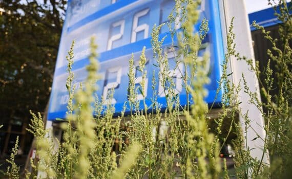 Eine Tankstelle mit Zapfsäulen und einer Preistafel, die hohe Benzin- und Dieselpreise anzeigt.