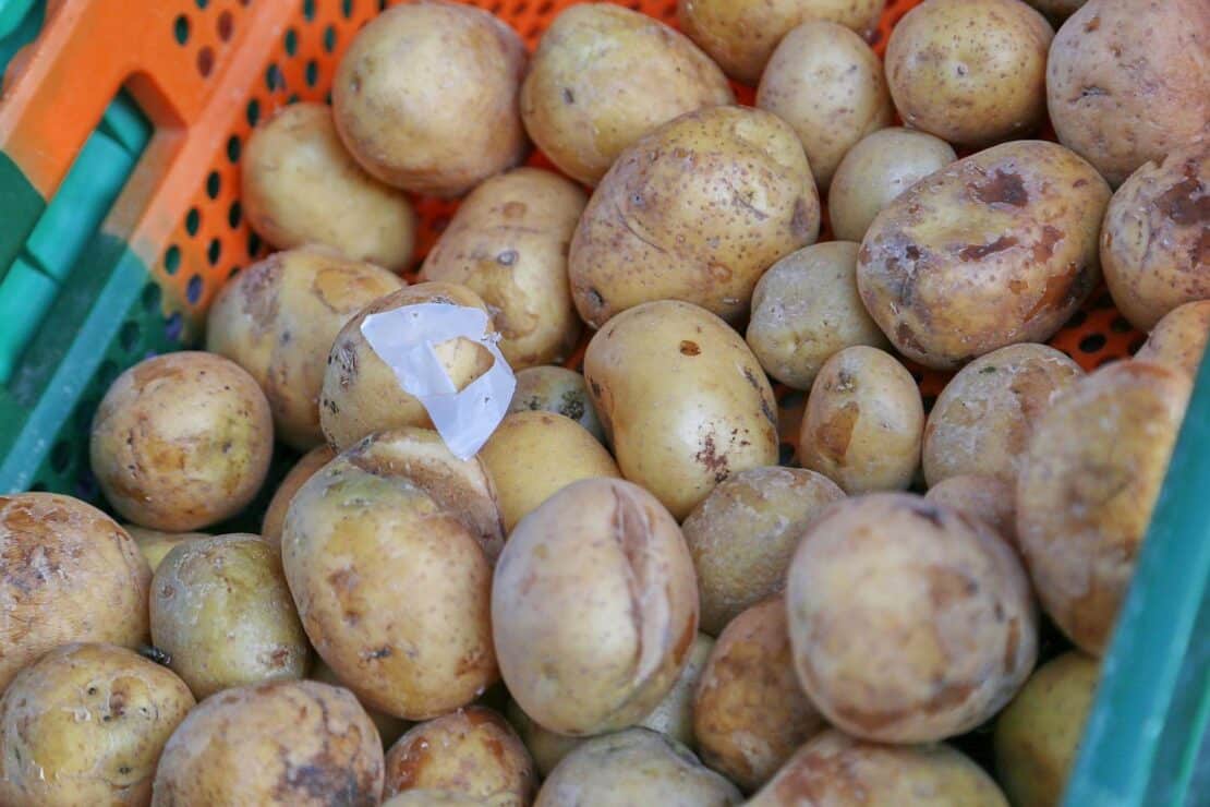 Niedrigste Kartoffelernte in NRW seit 2018 erwartet
