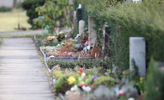 Ein gepflegter Friedhof mit Grabsteinen, Blumen und Wegen als Symbol für die wachsende Bestattungsbranche.